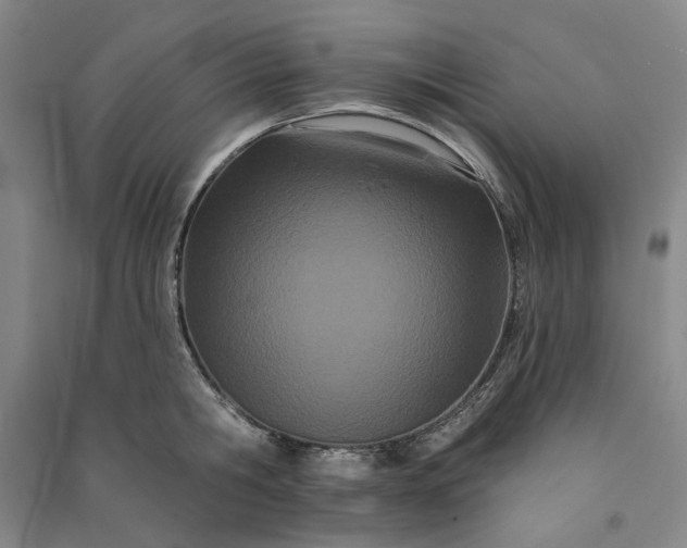 X0000091090806200708201456