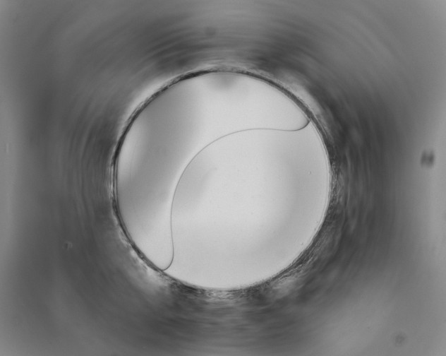 X0000091090807200708201456