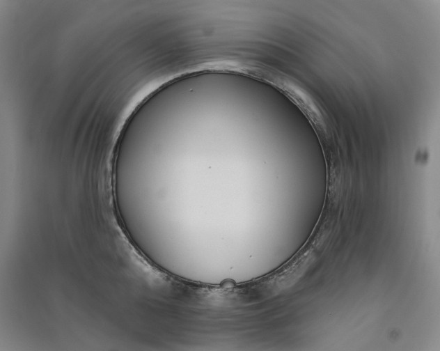 X0000091090808200708201456