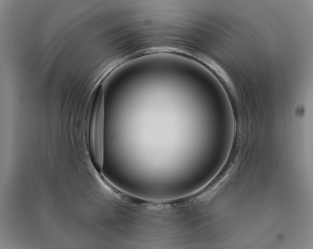 X0000091090809200708201456