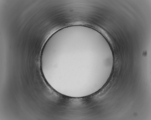 X0000091090810200708201456