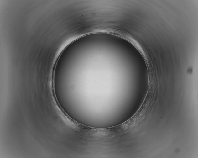 X0000091090811200708201456