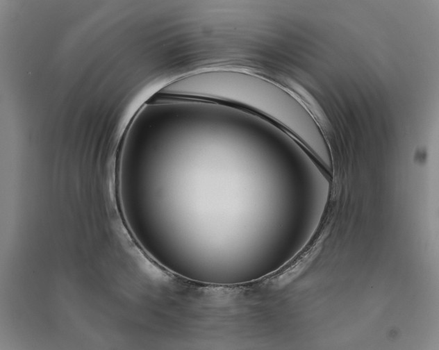 X0000091090812200708201456