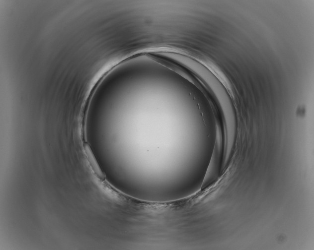 X0000091090813200708201456