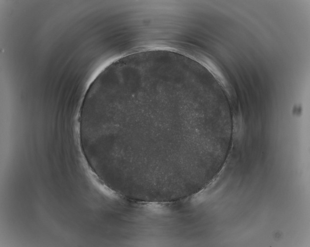 X0000091090814200708201456