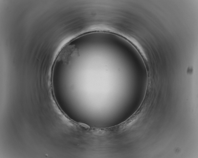 X0000091090815200708201456