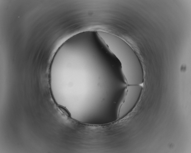 X0000091090816200708201456