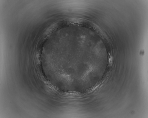 X0000091090819200708201455