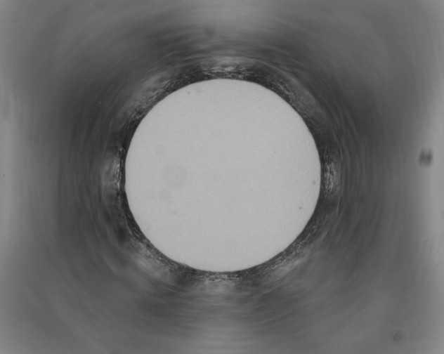 X0000091090820200708201455