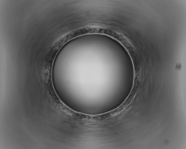 X0000091090821200708201455