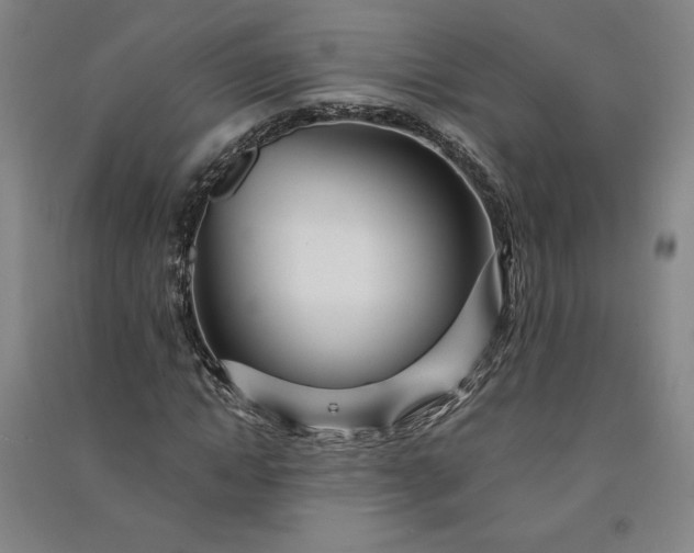 X0000091090822200708201455