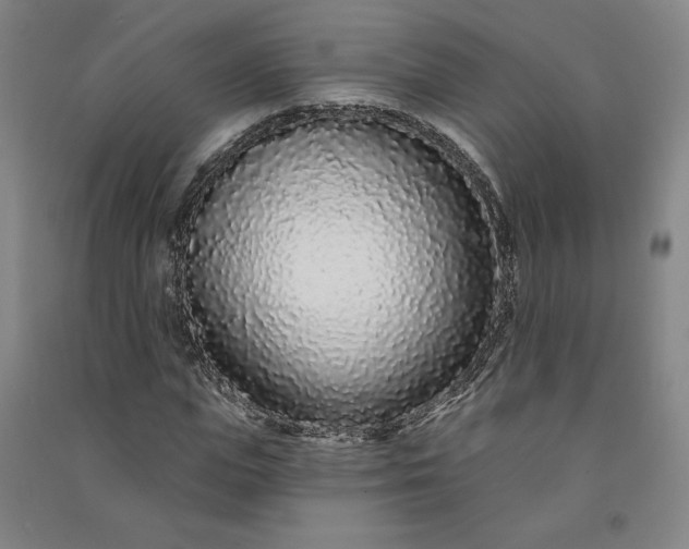 X0000091090823200708201455