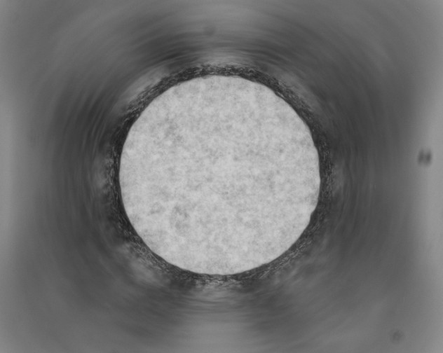 X0000091090824200708201455