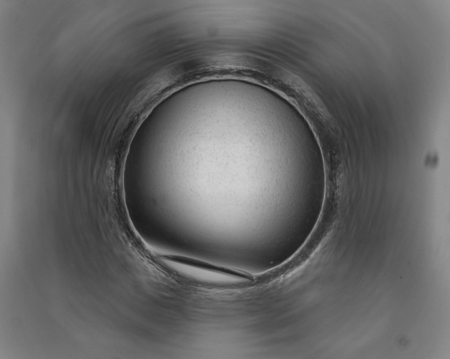 X0000091090825200708201455