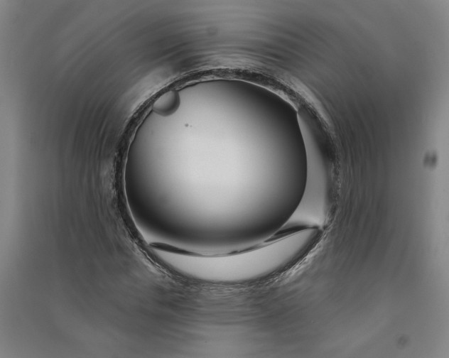 X0000091090826200708201455