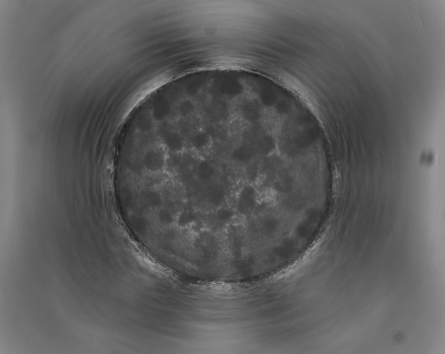 X0000091090827200708201455