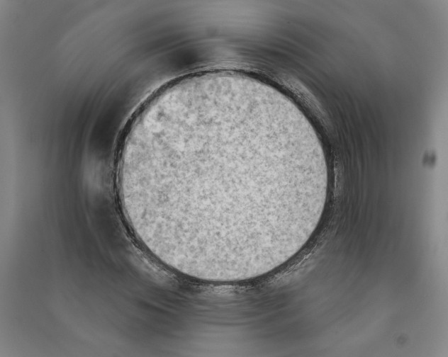 X0000091090828200708201455