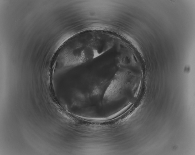 X0000091090829200708201455