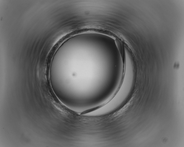 X0000091090830200708201455