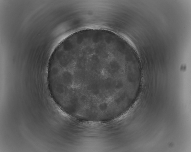 X0000091090831200708201455