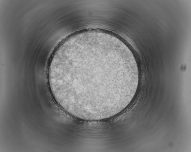 X0000091090832200708201455