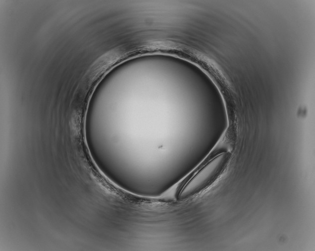 X0000091090833200708201455