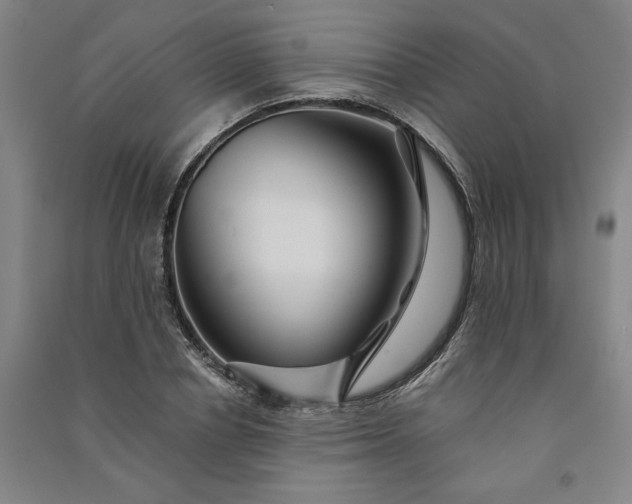 X0000091090834200708201455