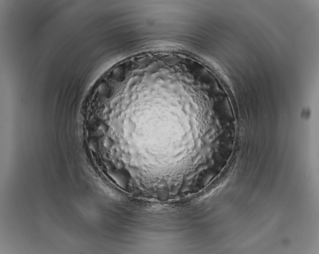 X0000091090835200708201455