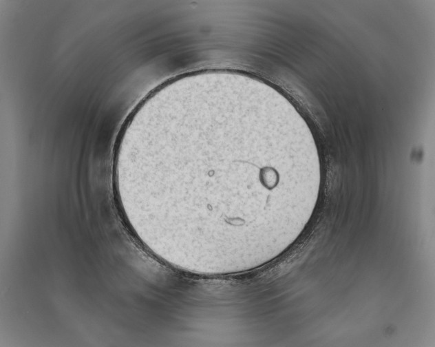 X0000091090836200708201455