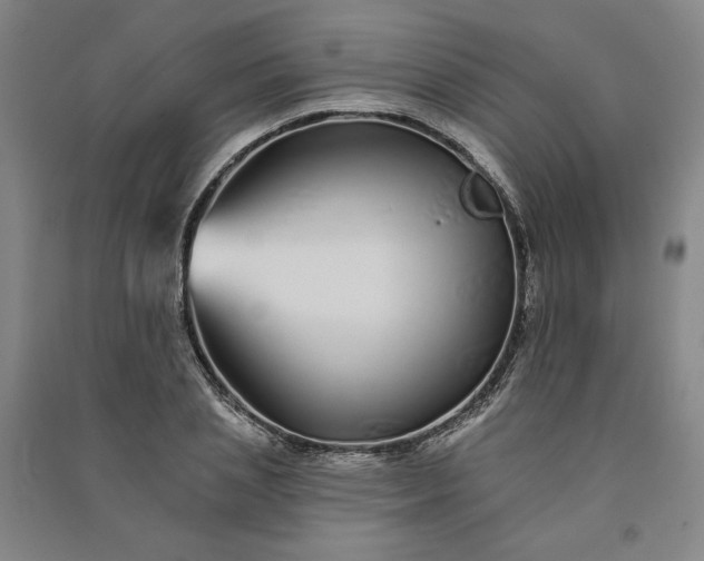 X0000091090837200708201455