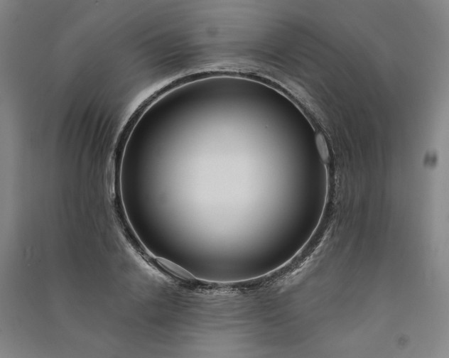 X0000091090838200708201455