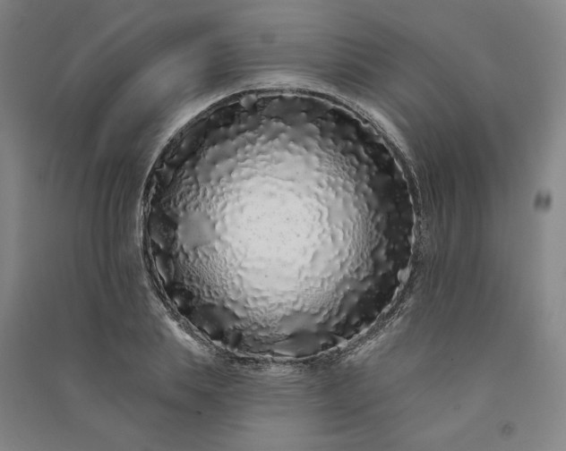 X0000091090839200708201455