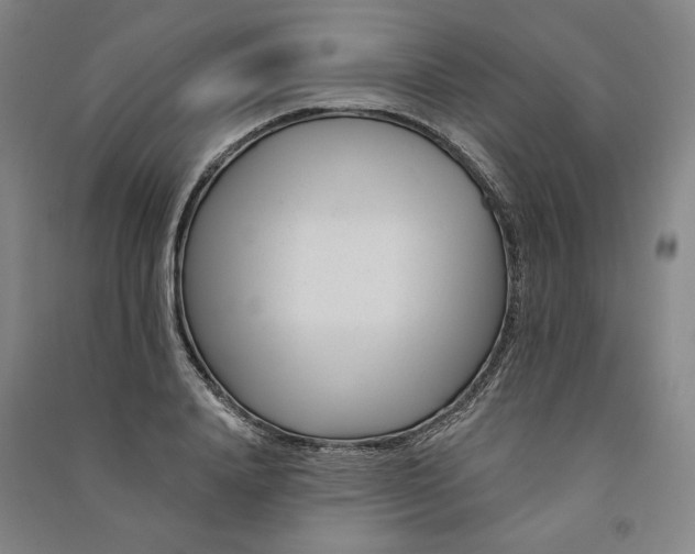 X0000091090840200708201455