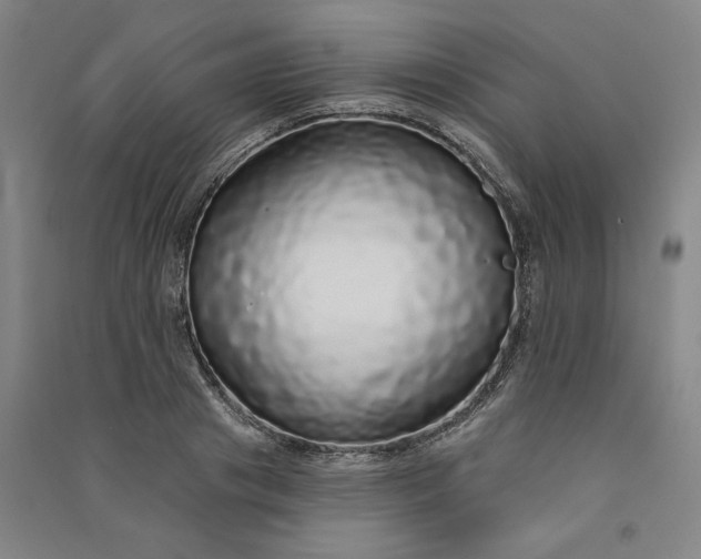 X0000091090841200708201455