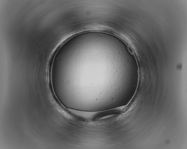 X0000091090843200708201455