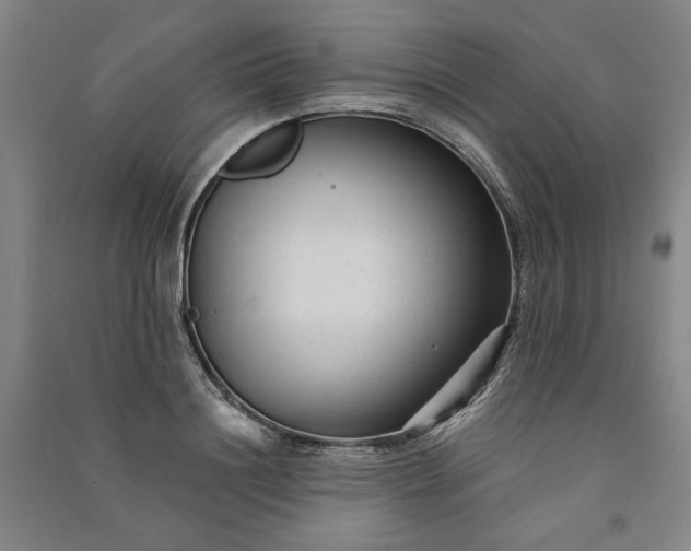 X0000091090844200708201455