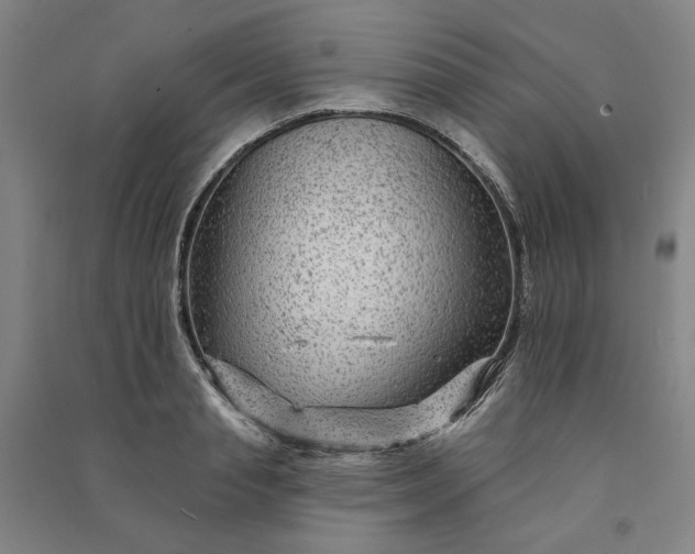 X0000091090845200708201455