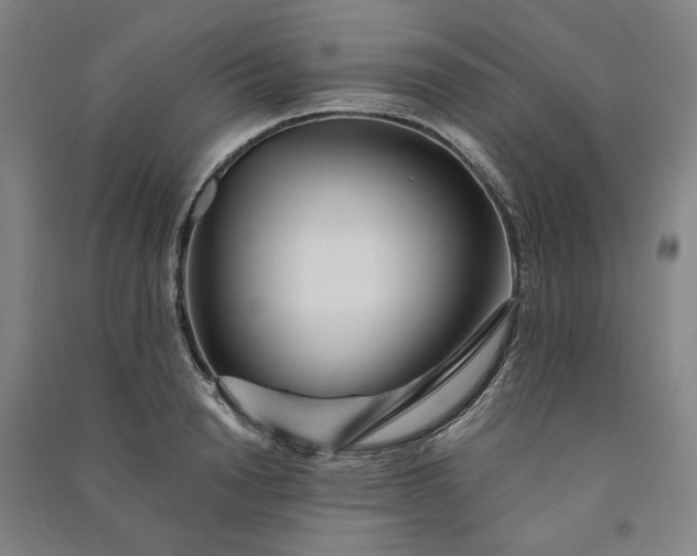 X0000091090846200708201455