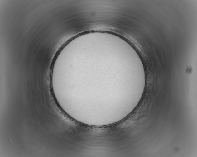 X0000091090848200708201455