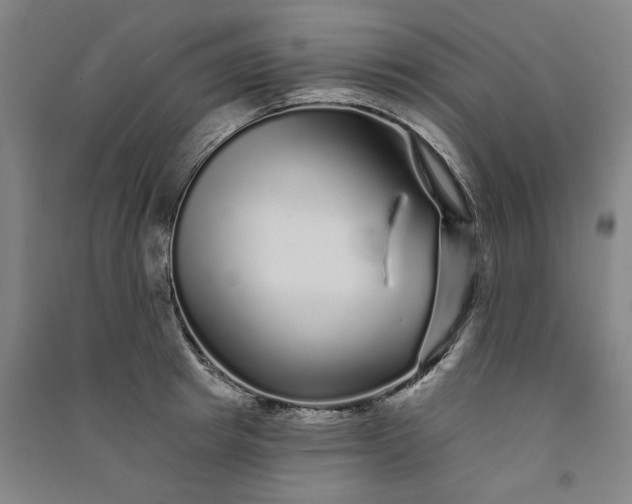 X0000091090849200708201455