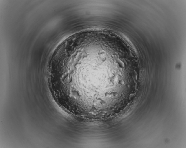 X0000091090851200708201456