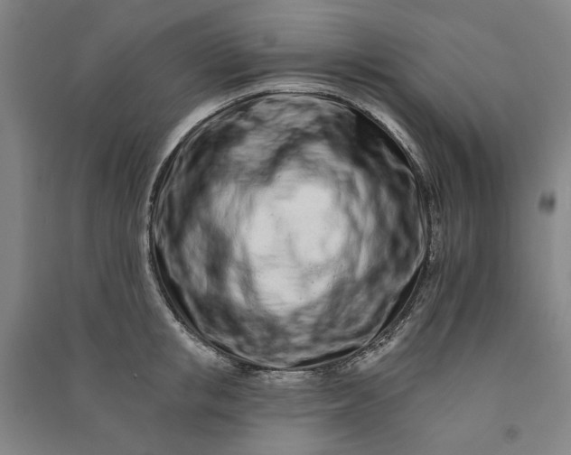 X0000091090853200708201456