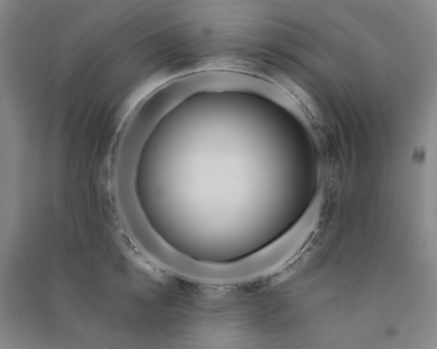 X0000091090854200708201456