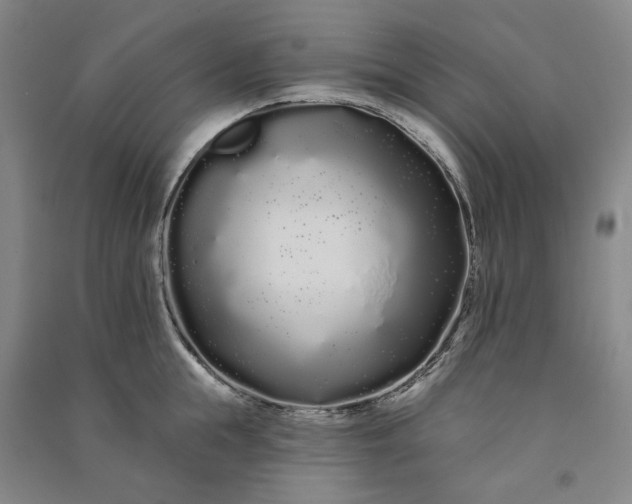 X0000091090855200708201456