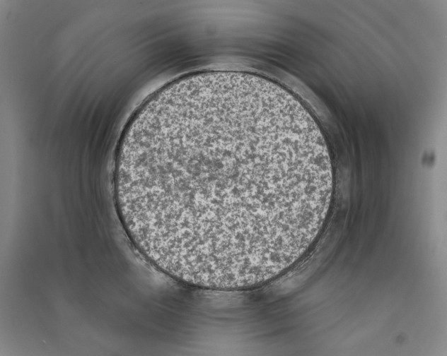 X0000091090856200708201456