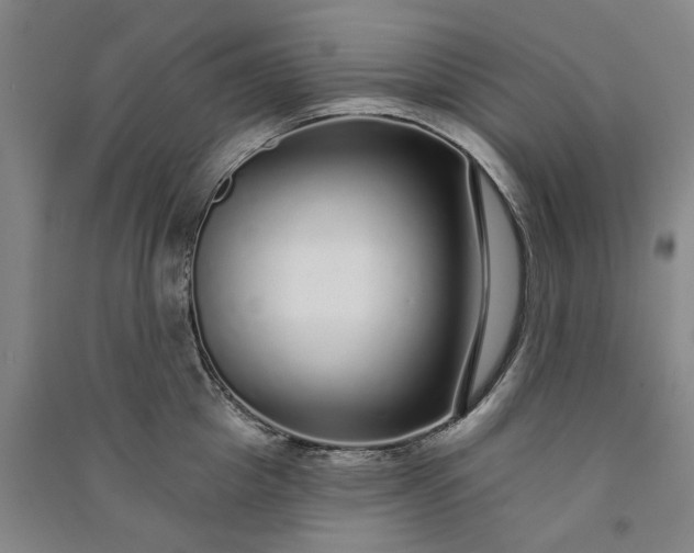 X0000091090857200708201456