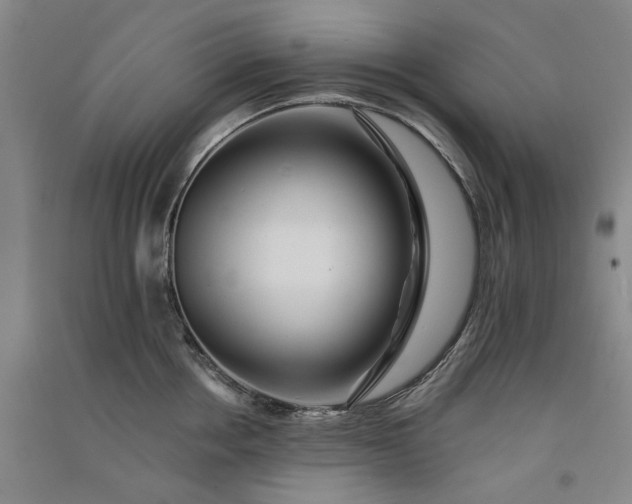 X0000091090858200708201456