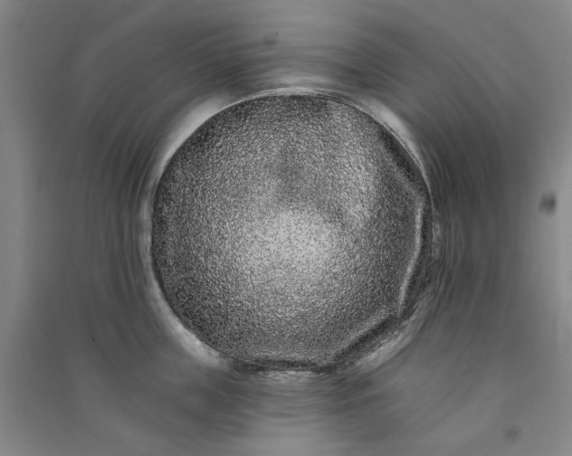 X0000091090859200708201456