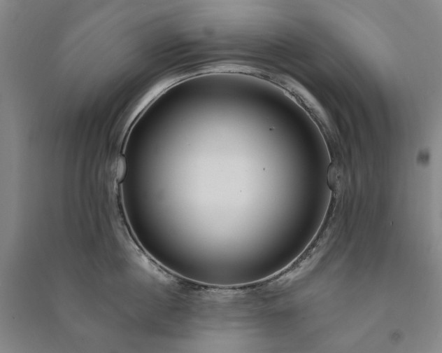 X0000091090860200708201456