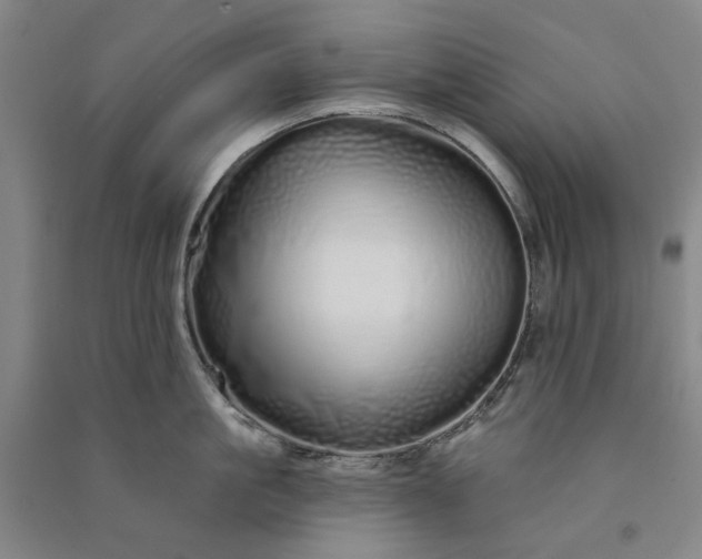 X0000091090861200708201456